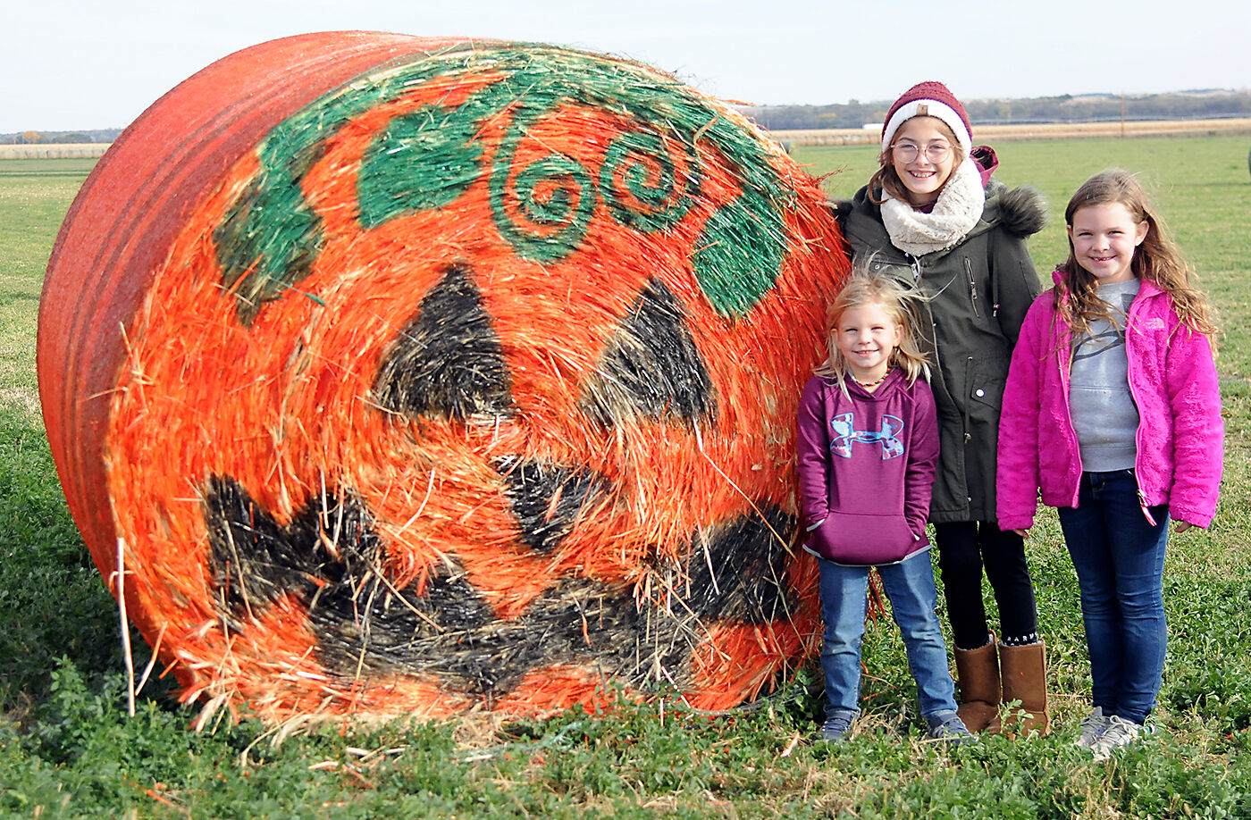 Halloween Hay